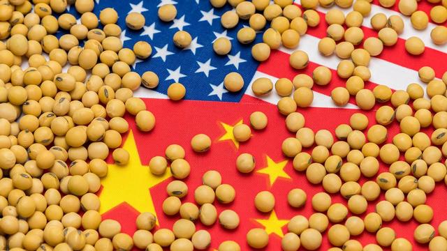 学者谈美大豆协会称中国市场无法取代