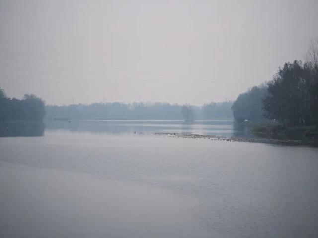 成都向西，拜访邛崃最“慢”的古镇，把千年时光泡进茶里