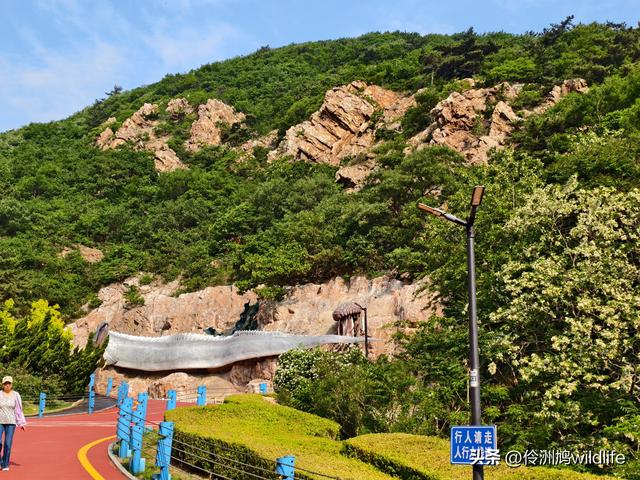 大连海之韵公园·棒槌岛