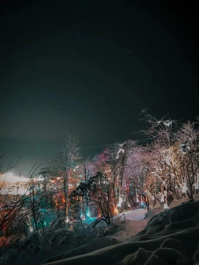 免票福利来袭，这个寒假西岭雪山放大招了！