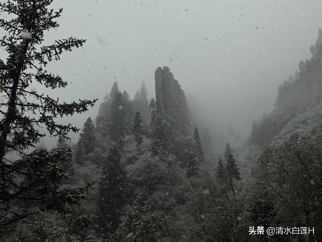 为什么说来甘南旅游一定要去扎尕那？