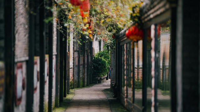 探寻老街巷褶皱里的城市密码，感受正宗郫都味~