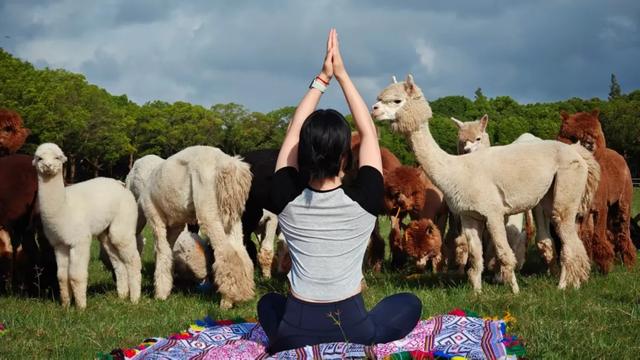 沪上这9条秋游线路，带你走进申城最美的秋景~
