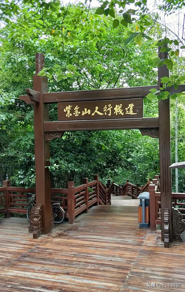建议恢复南京″游″字自编号公交车，专项循环在钟山风景区营运