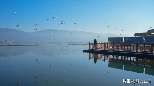 跨越山海的生态之约 奏响人与自然和谐乐章