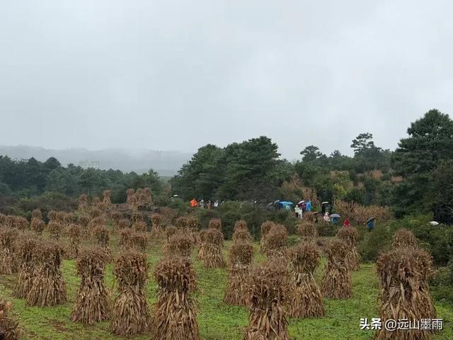 徒步石林蓑衣山、赏水上石林，遇降雨淅淅沥沥，收获特别的体验