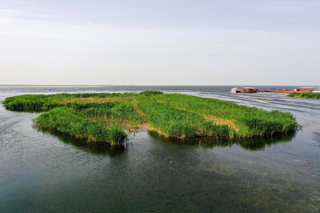 精彩推荐｜李德锋：乌梁素海见闻（散文）