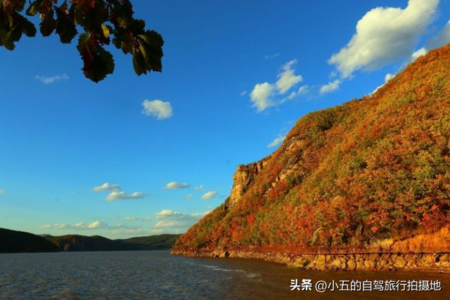 🔥喀纳斯秋疯了！人均800攻略，错过等一年的神仙颜值+避坑指南