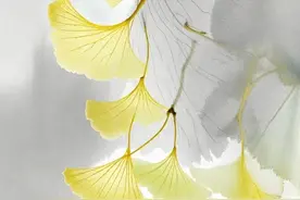 人生足清闲，天下第一福。33句淡泊名利诗词：闲适清雅、启迪心智图片