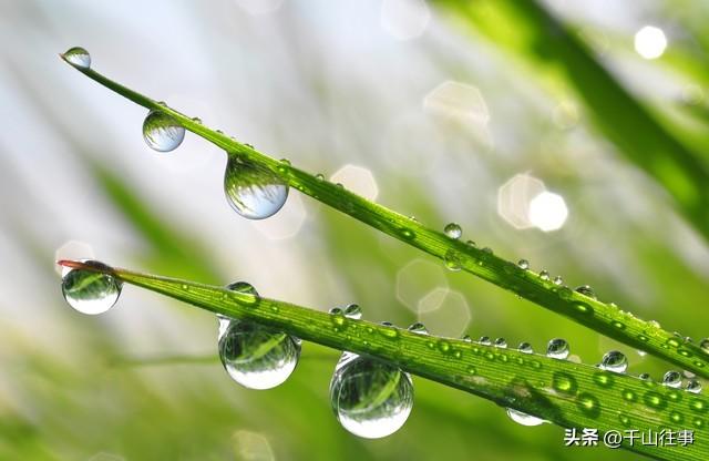 骑行时间选不对伤身！专家揭秘：最佳骑行时段，新手老手都适用
