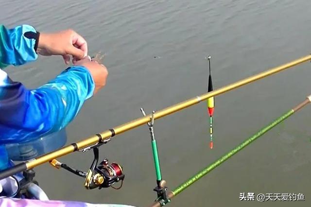 秋季钓大鱼，4个原因把鱼吓跑，最后这个万万没想到