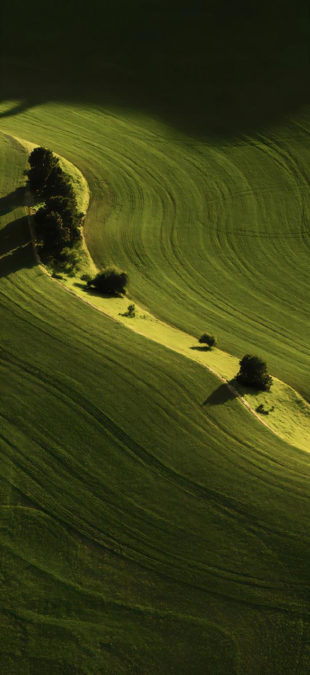 手机壁纸|清新自然，绿色风光美景