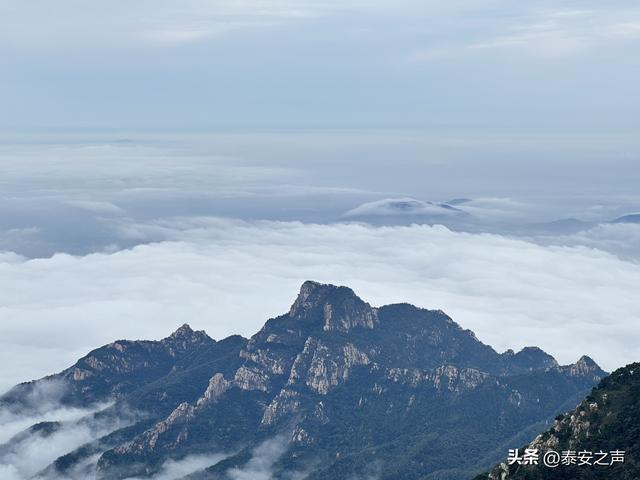 雨后泰山云海翻涌如仙境
