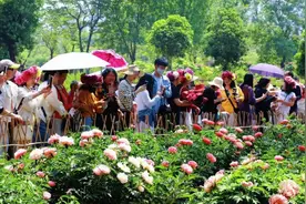 “五一”小众游爆火，菏泽强势出圈，跻身全国前十！图片