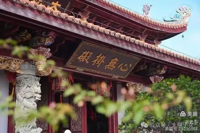 老牛｜我看到的潮洲景色