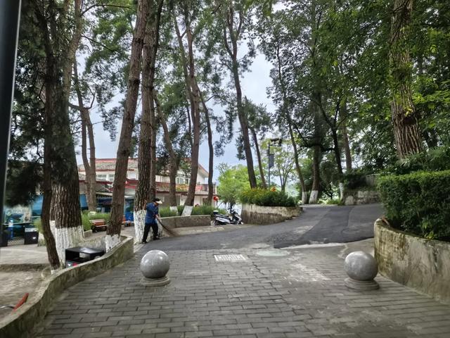 想你的风吹到了百花湖