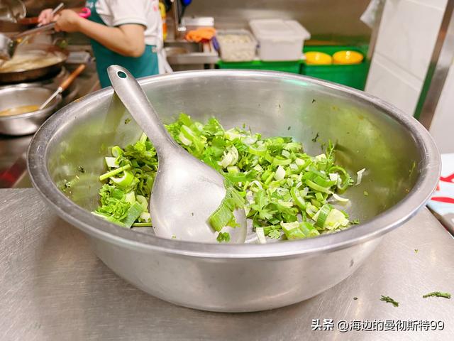 海边游记｜沙海狂飙与绿洲寻踪：内蒙古腾格里沙漠一日“历险记”
