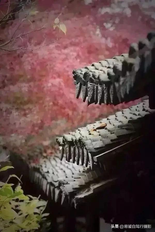 震撼！故宫瓦当，紫禁城守望者；中式美学老屋瓦当 只有中国人才懂