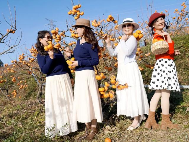 柴桑区新塘乡胡桥村:千亩柿红引客来