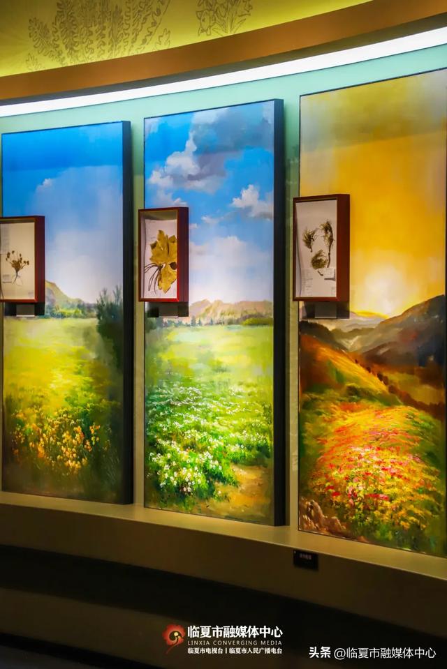 遇见•临夏丨金秋看展 与临夏文博来一场跨越时空的“对视”