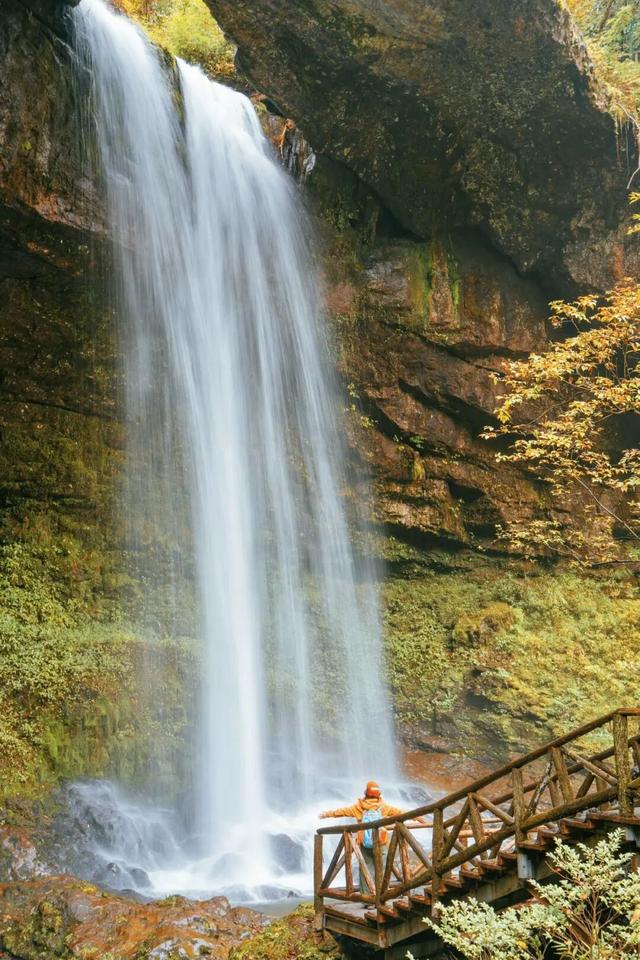 秋假免门票！抓住秋天的尾巴~来龙苍沟秋假赏秋领限定奖牌！