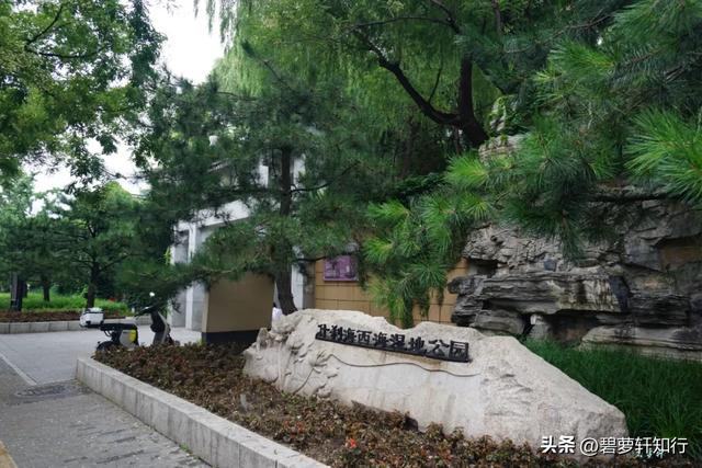 北京什刹海西海湿地公园：人少景美的赏荷胜地，还有一座美术馆