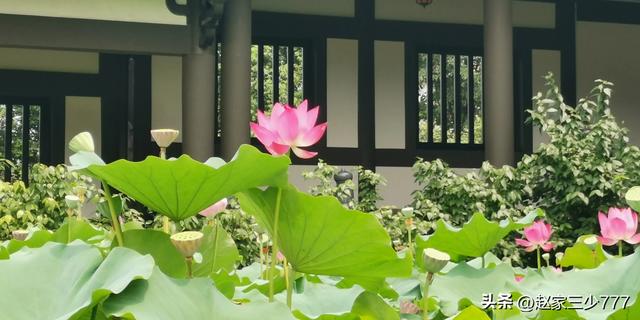 🏞旅途中的美景--柳江光明寺