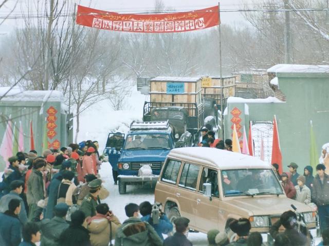 曾野外灭绝！我国从国外引进培育40年, 野化放归900只, 如今怎样了?