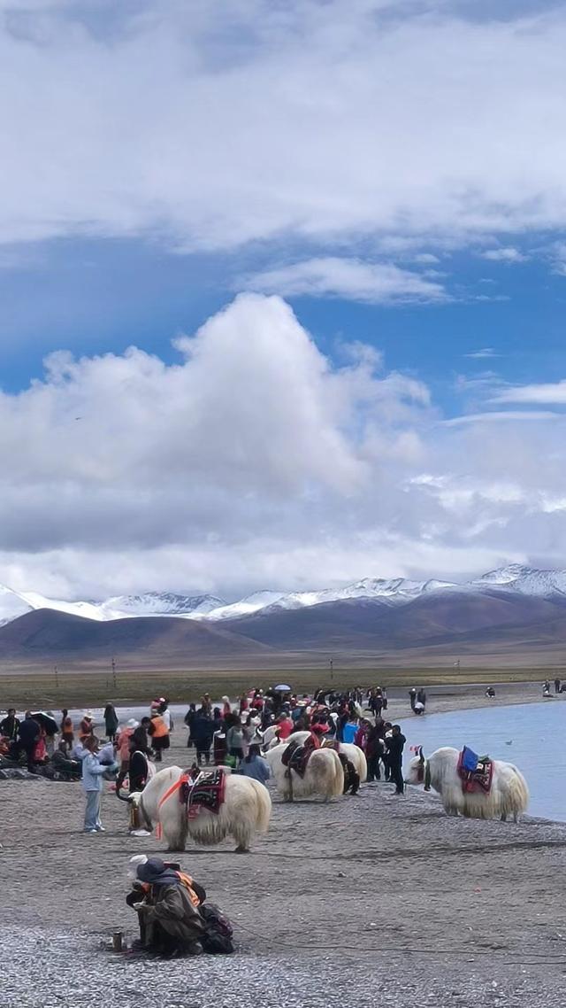 暑假去西藏旅游？这些 “坑” 别踩，干货都在这！
