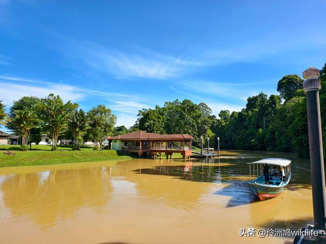 马来西亚(32)砂拉越州⑥世界遗产尼亚洞窟探险