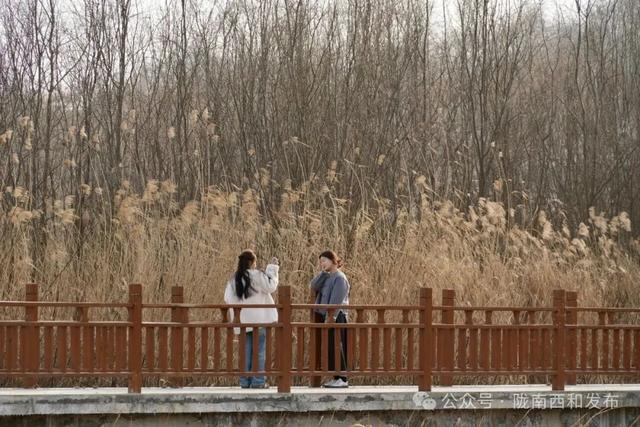 【2026新春走基层】晚霞湖春节迎客2.62万人次 旅游收入同步增长超24%