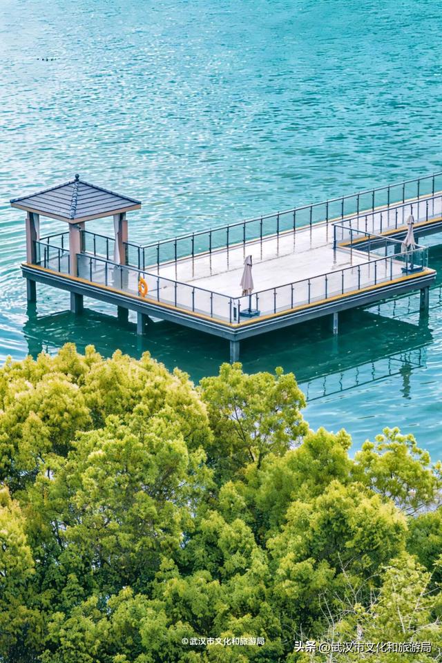 直冲30℃，咸宁请客，出来玩！