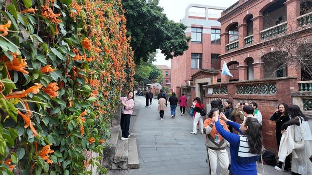 国内9大景区口碑崩塌！游客怒斥巨坑，第一名令人寒心…