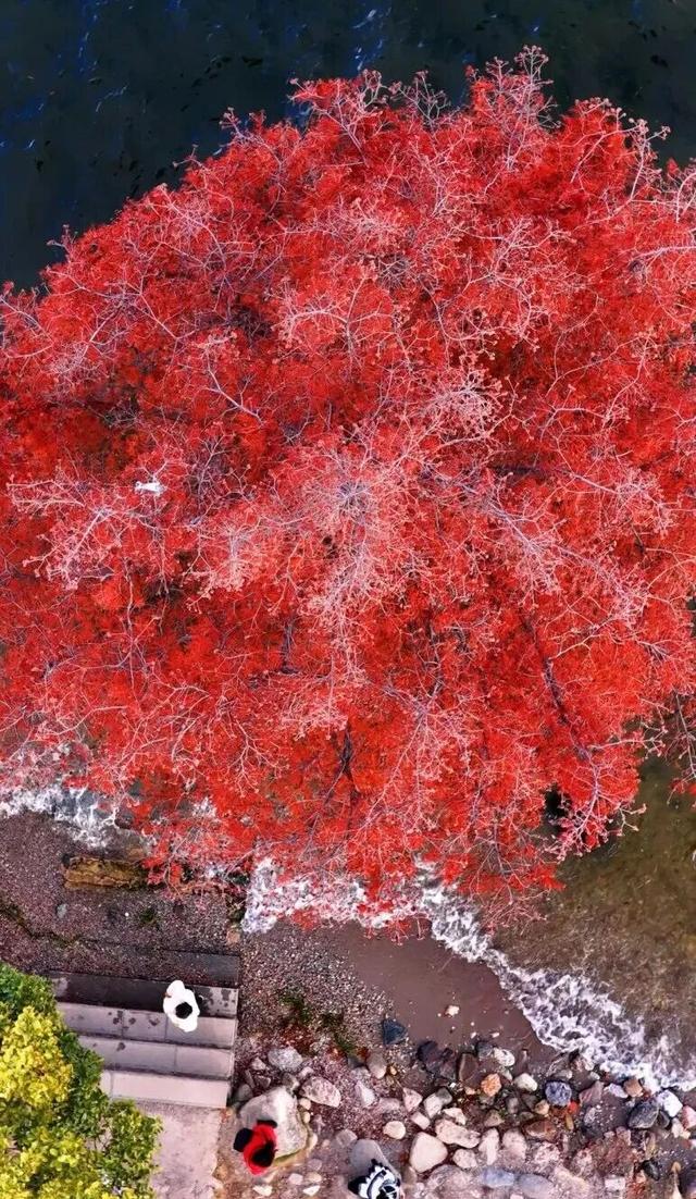 冬天在大理，要做这10件事！