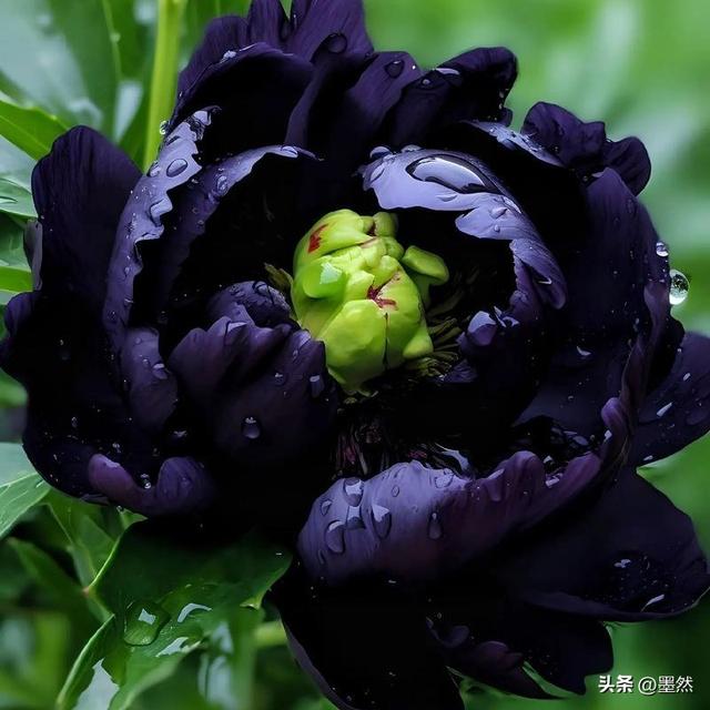 人这辈子	，拼尽全力都最后图个啥？是图那口气？还是图个体面？