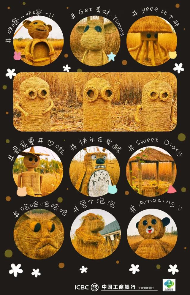 一场“叶舞+稻草”的双重奇遇！北京园博园秋游正当时——