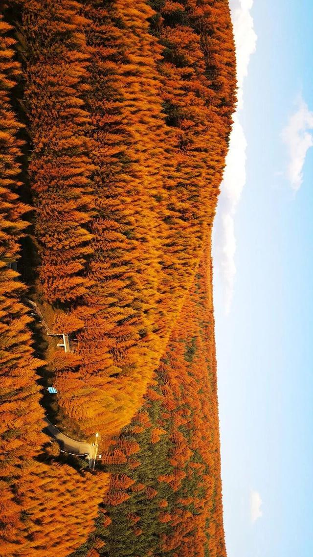 长城一号旅游公路：在秋日斑斓间，赴一场历史与自然的约会