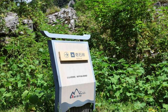 “富阳仙人洞”！又一个山洞火了