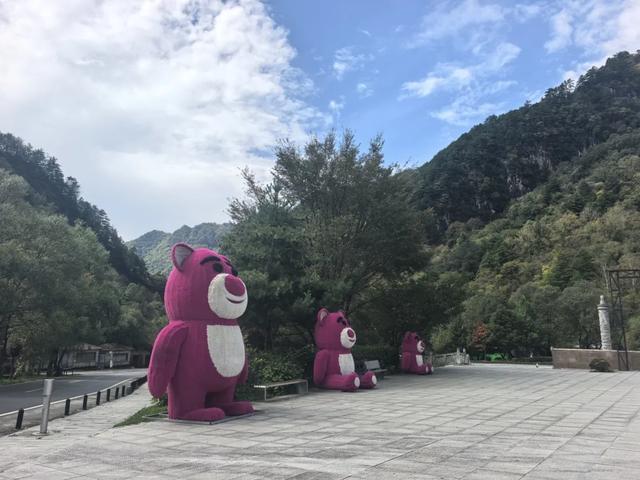 留坝紫柏山为国庆旅游高峰做足准备,共赏绝美秋色