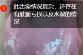都是化瘀猛将，血府逐瘀丸、桂枝茯苓丸究竟有什么区别？一次讲清图片