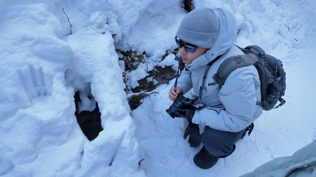 Hello冰雪Go吉林｜国际媒体采风团雪谷徒步体验冰雪浪漫