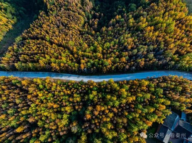 镜瞰秦州·悦秋