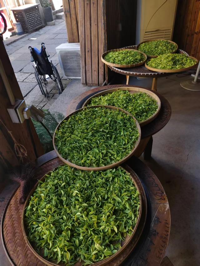 松阳不止有老村落，还有可以躺平、喝茶、吹风的老街