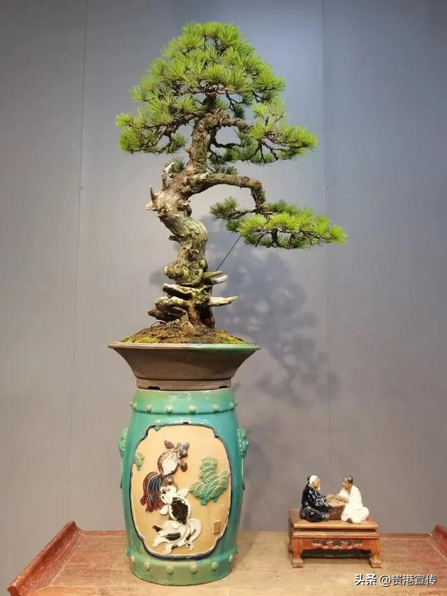 好看好吃好玩！贵港这个宝藏小镇！你去过吗？
