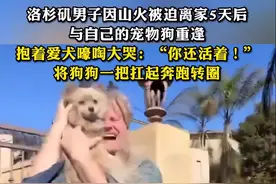 洛杉矶男子因山火被迫离家，5天后与自己的宠物狗重逢，抱着爱犬嚎啕大哭：“你还活着！”图片