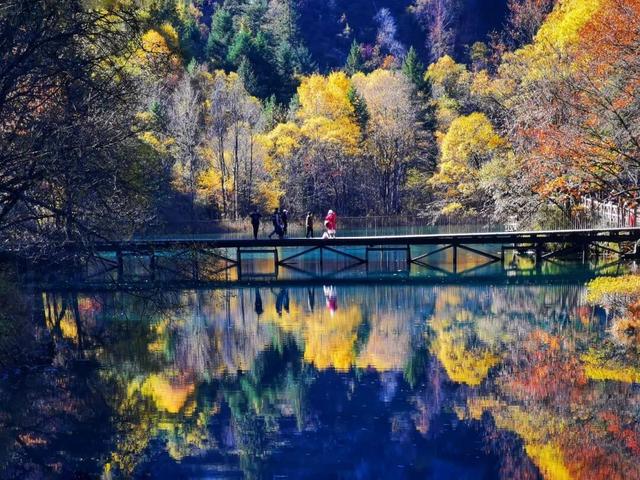 碧水吻醒秋色，落叶撞进九寨沟的调色盘