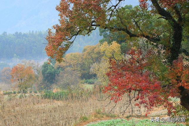 秋色塔川，无梦到徽州
