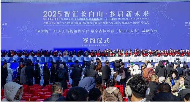 智汇长白山・参启新未来，珲春人参产业AI融合大会书写产业新篇