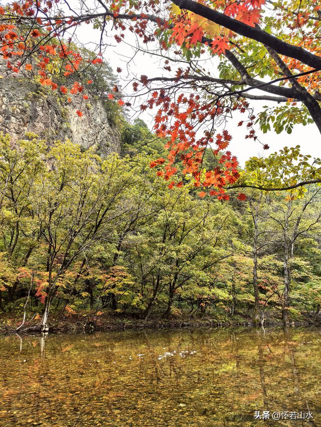 2025辽宁赏秋之旅日记(2)——游览丹东蒲石河森林公园