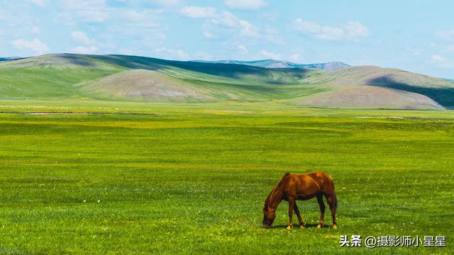 不去内蒙古大草原，你永远不知道它有多绝！